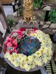 白山神社(新潟県)