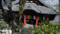 岡寺(龍蓋寺)の本殿・本堂