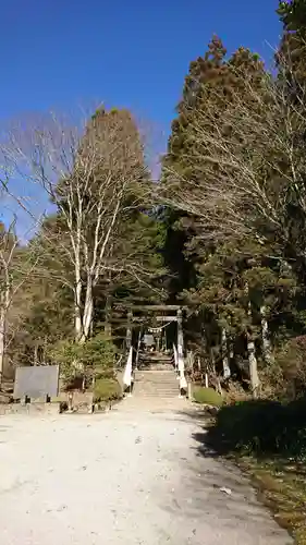 黄金山神社の自然