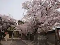 素盞嗚神社のその他建物