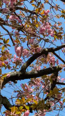 宝蔵寺(京都府)