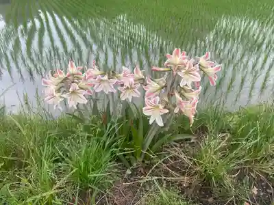 法輪寺(徳島県)