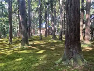 平泉寺白山神社(福井県)