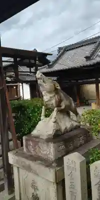 摩利支天堂 禅居庵の狛犬