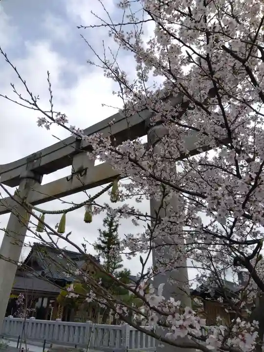 總社 和田八幡宮(福井県)