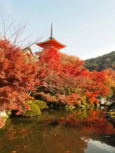 清水寺(京都府)