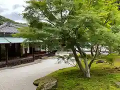 長壽寺（長寿寺）の庭園