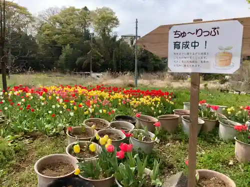 泉蔵寺の庭園