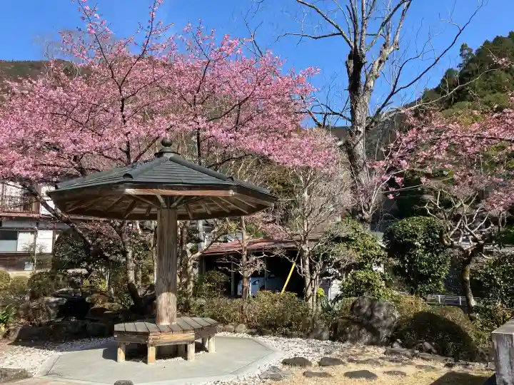 久遠寺の{uncategorized: "未分類", other: "その他", undefined: "問題あり", building: "その他建物", grave: "お墓", sacred_gate: "鳥居", guardian: "狛犬", statue: "像", buddha: "仏像", history: "歴史", nature: "自然", garden: "庭園", animal: "動物", pagoda: "塔", temizu: "手水舎", mountain_gate: "山門・神門", sanctuary: "本殿・本堂", subordinate: "末社・摂社", art: "芸術", scenery: "景色", jizo: "地蔵", ema: "絵馬", goshuin: "御朱印", omikuji: "おみくじ", items: "授与品その他", amulet: "お守り", goshuincho: "御朱印帳", eats: "食事", festival: "お祭り", votive_dance: "神楽", shichigosan: "七五三参", wedding: "結婚式", experience: "体験その他", initially: "初詣", around: "周辺", anti_infection: "感染症対策"}