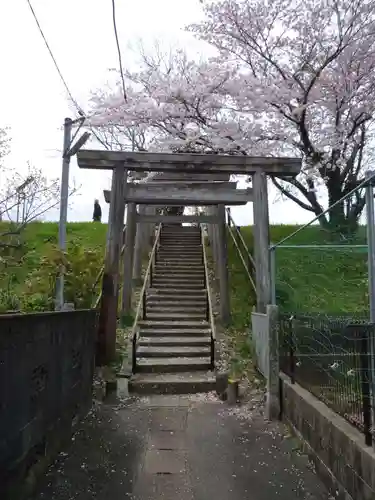 楠大明神の鳥居