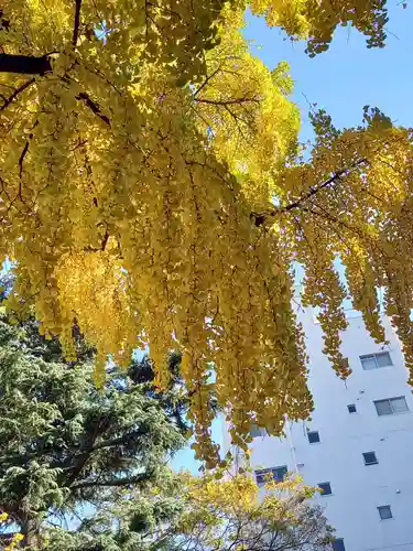花園神社(東京都)