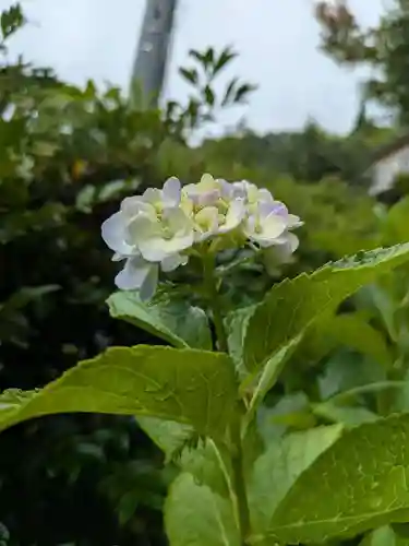 石内のお大師さん　金剛院(広島県)