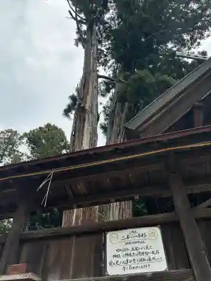 鹿嶋三嶋神社の{uncategorized: "未分類", other: "その他", undefined: "問題あり", building: "その他建物", grave: "お墓", sacred_gate: "鳥居", guardian: "狛犬", statue: "像", buddha: "仏像", history: "歴史", nature: "自然", garden: "庭園", animal: "動物", pagoda: "塔", temizu: "手水舎", mountain_gate: "山門・神門", sanctuary: "本殿・本堂", subordinate: "末社・摂社", art: "芸術", scenery: "景色", jizo: "地蔵", ema: "絵馬", goshuin: "御朱印", omikuji: "おみくじ", items: "授与品その他", amulet: "お守り", goshuincho: "御朱印帳", eats: "食事", festival: "お祭り", votive_dance: "神楽", shichigosan: "七五三参", wedding: "結婚式", experience: "体験その他", initially: "初詣", around: "周辺", anti_infection: "感染症対策"}