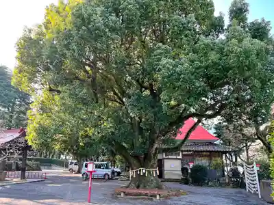 橘神社(長崎県)