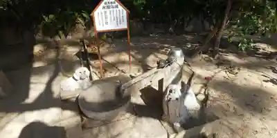 弓弦羽神社の手水舎