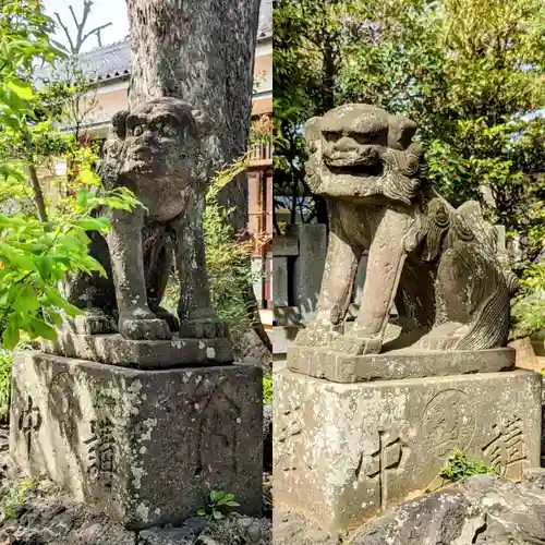 白幡天神社の狛犬