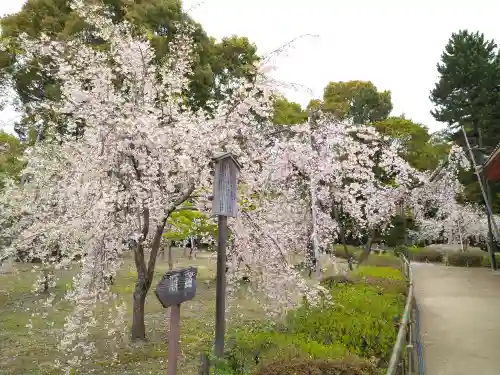 平安神宮の庭園