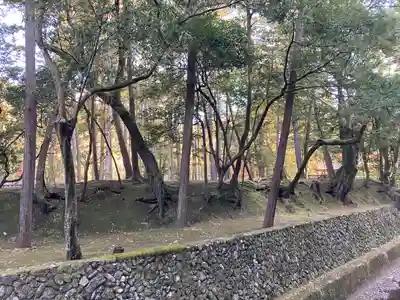 西芳寺(京都府)