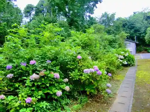 八街神社の自然