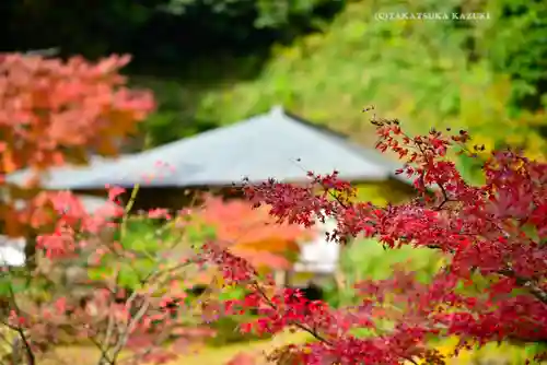 円覚寺(神奈川県)