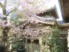 温泉山 安楽寺(四国霊場第六番札所)の自然