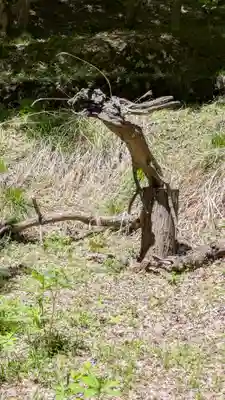 成相寺(京都府)