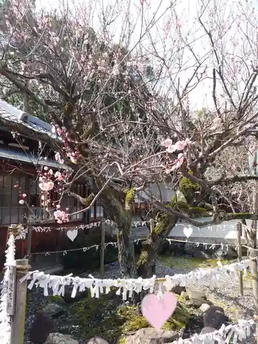 滋賀県護国神社の庭園