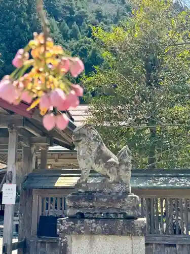 春日神社の狛犬