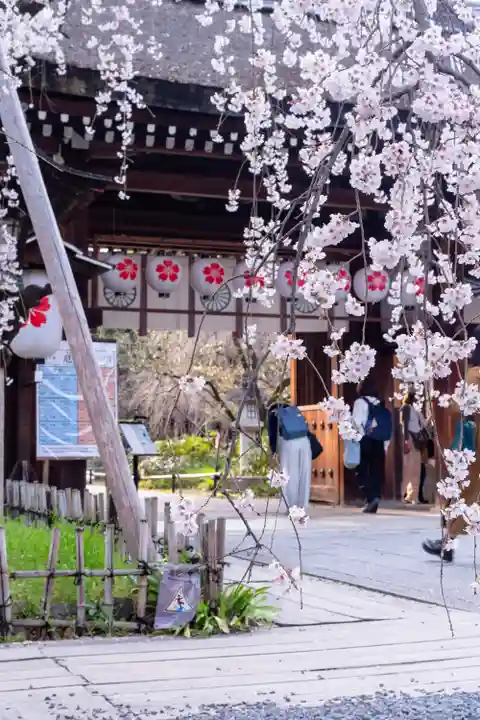 平野神社(京都府)