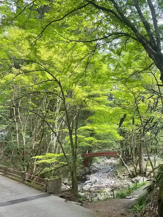 花園神社(茨城県)