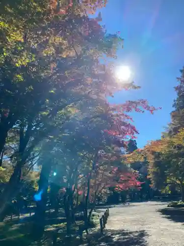 平林寺(埼玉県)