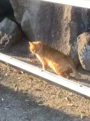 密蔵院(愛知県)