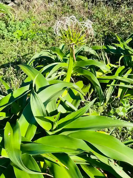夢崎明神(山口県)