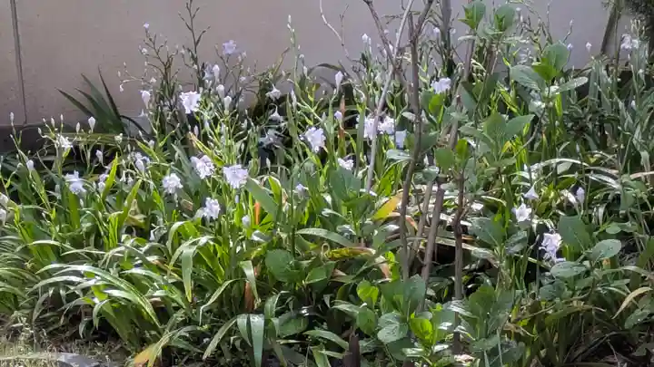 上宮王院聖徳寺(京都府)