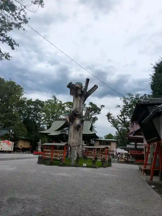 上野総社神社(群馬県)