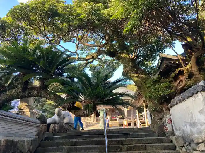 金剛福寺の建物その他