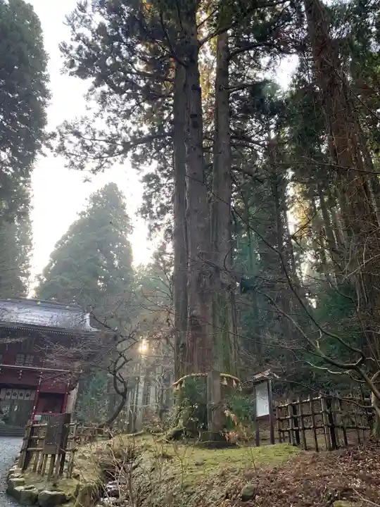 御岩神社の自然