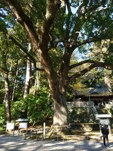 事任八幡宮の自然