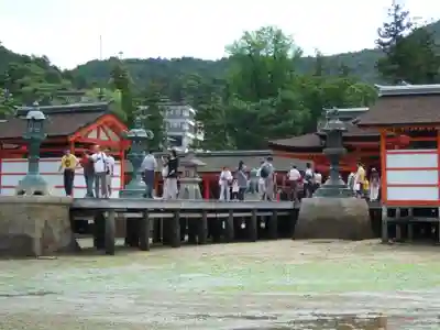 厳島神社(広島県)