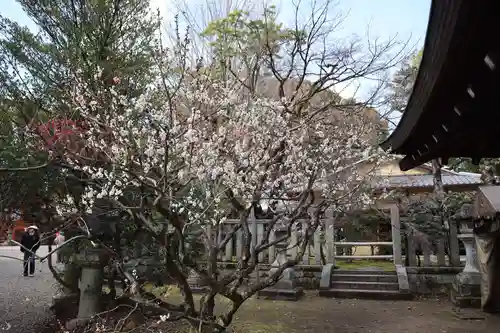 北野天満宮(京都府)