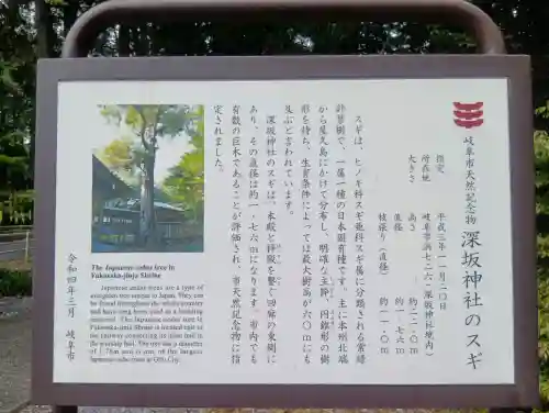 深坂神社の{uncategorized: "未分類", other: "その他", undefined: "問題あり", building: "その他建物", grave: "お墓", sacred_gate: "鳥居", guardian: "狛犬", statue: "像", buddha: "仏像", history: "歴史", nature: "自然", garden: "庭園", animal: "動物", pagoda: "塔", temizu: "手水舎", mountain_gate: "山門・神門", sanctuary: "本殿・本堂", subordinate: "末社・摂社", art: "芸術", scenery: "景色", jizo: "地蔵", ema: "絵馬", goshuin: "御朱印", omikuji: "おみくじ", items: "授与品その他", amulet: "お守り", goshuincho: "御朱印帳", eats: "食事", festival: "お祭り", votive_dance: "神楽", shichigosan: "七五三参", wedding: "結婚式", experience: "体験その他", initially: "初詣", around: "周辺", anti_infection: "感染症対策"}