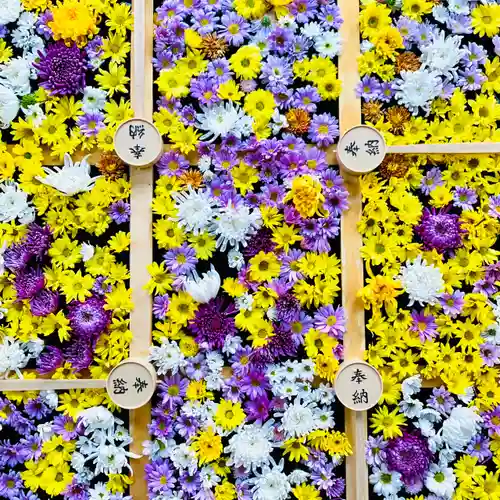 土津神社｜こどもと出世の神さまの手水舎