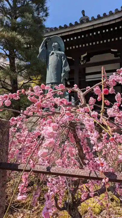 本法寺(京都府)