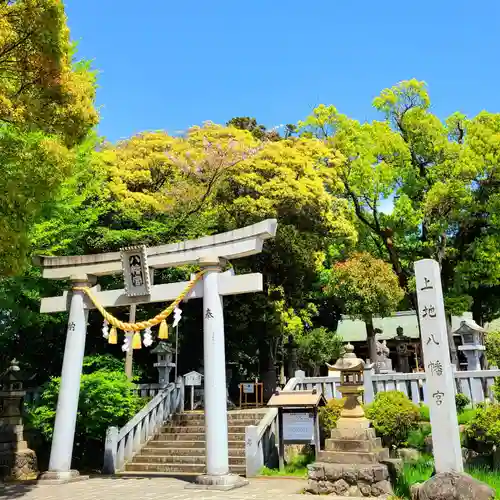 上地八幡宮の鳥居