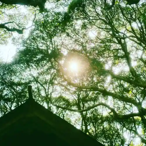 沼尾神社のその他建物