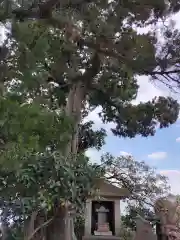 森戸大明神（森戸神社）(神奈川県)