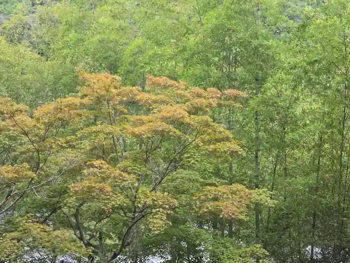 神峯山寺(大阪府)
