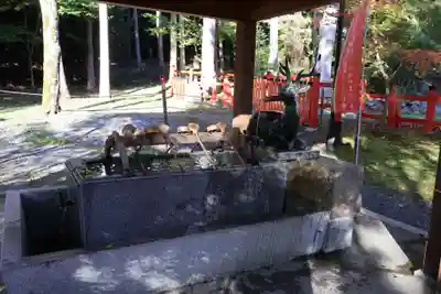 大原野神社(京都府)