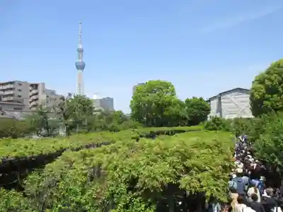 亀戸天神社(東京都)