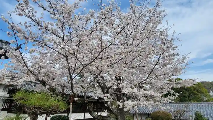 松山神社(愛媛県)
